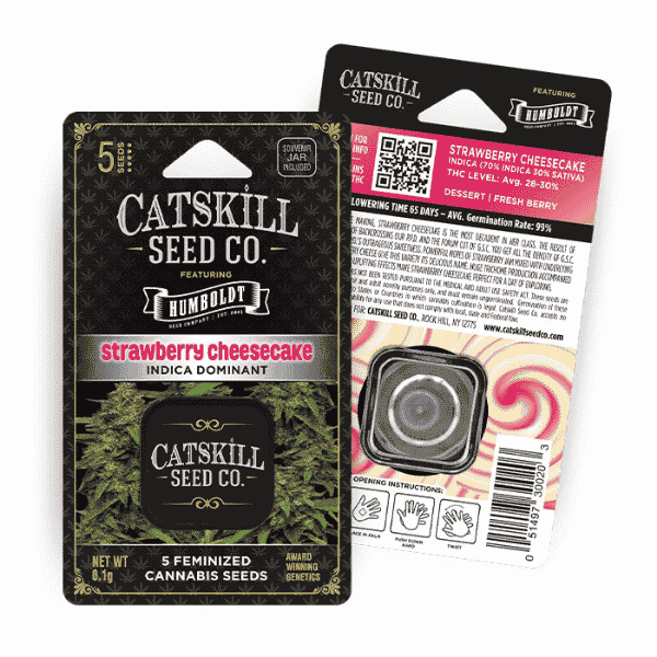 CannaAid CAT Cannabis Seeds Strawberry Cheesecake
