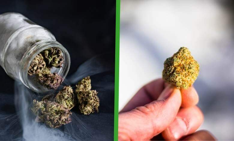 HHC vs. THC: What's the Difference?