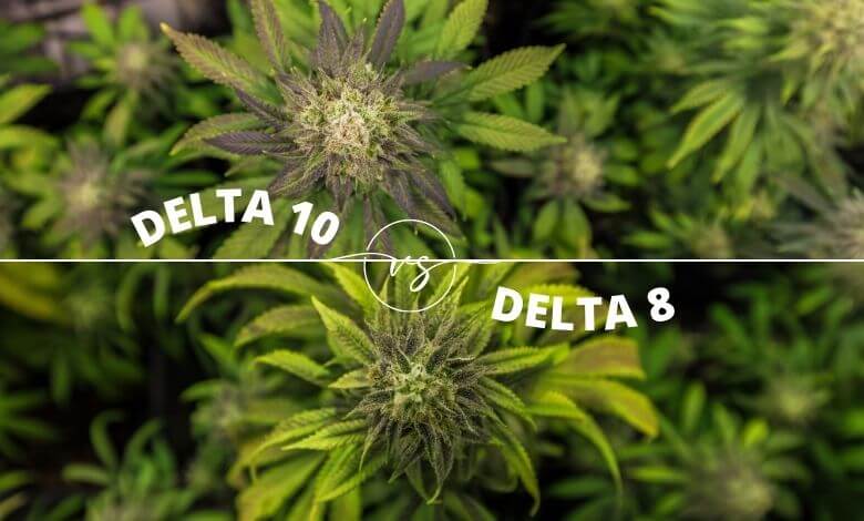 Delta 10 vs Delta 8: What's the Difference?