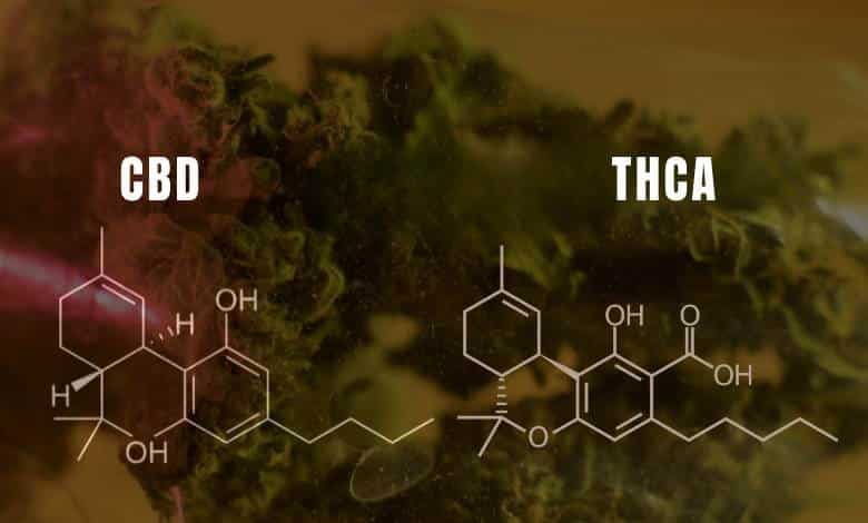 THCA vs CBD: What's the Difference