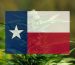 Is THCA Flower Legal in Texas
