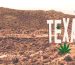 Is THCA Legal in Texas